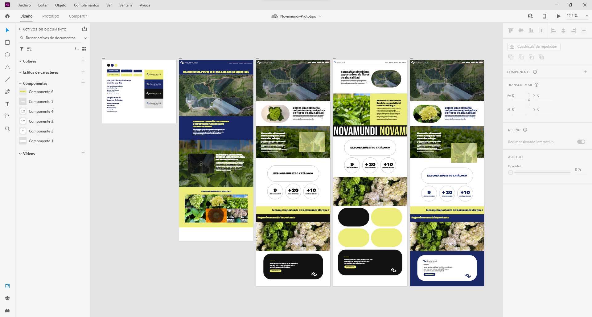Ideacion de diseño web en Adobe XD para Novamundi SAS